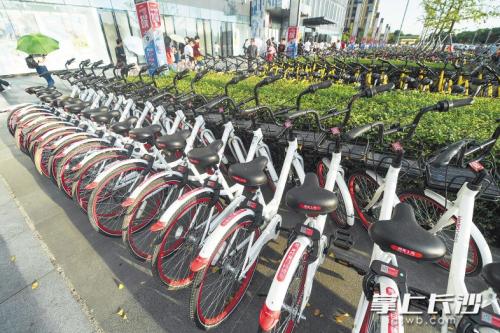 昨日下午，在開福區(qū)萬達廣場，成片的共享單車停放在廣場前坪。 長沙晚報記者 黃啟晴 攝