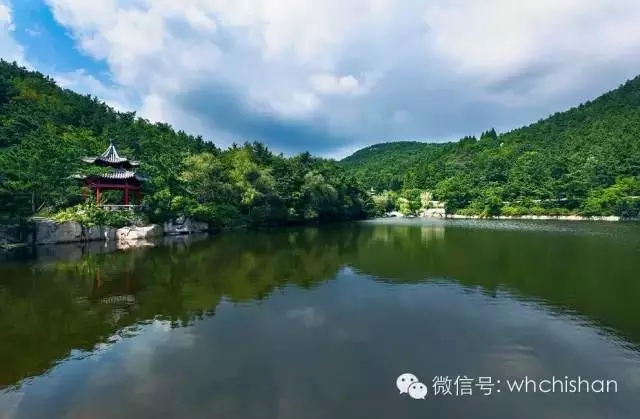 花期已過葉還未紅 去赤山賞云吧！