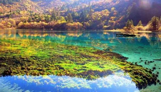 門(mén)票那么貴 沒(méi)法玩耍了！