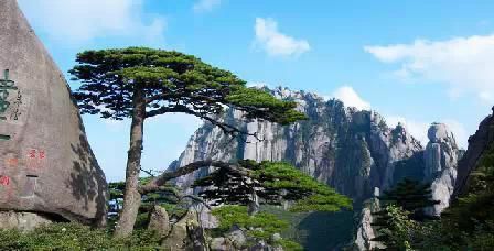 門(mén)票那么貴 沒(méi)法玩耍了！