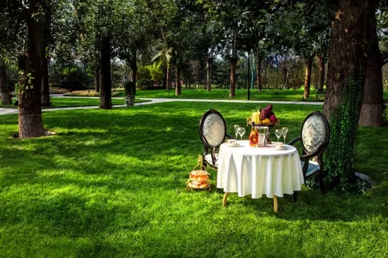 秋陽鴻園，芳草青青