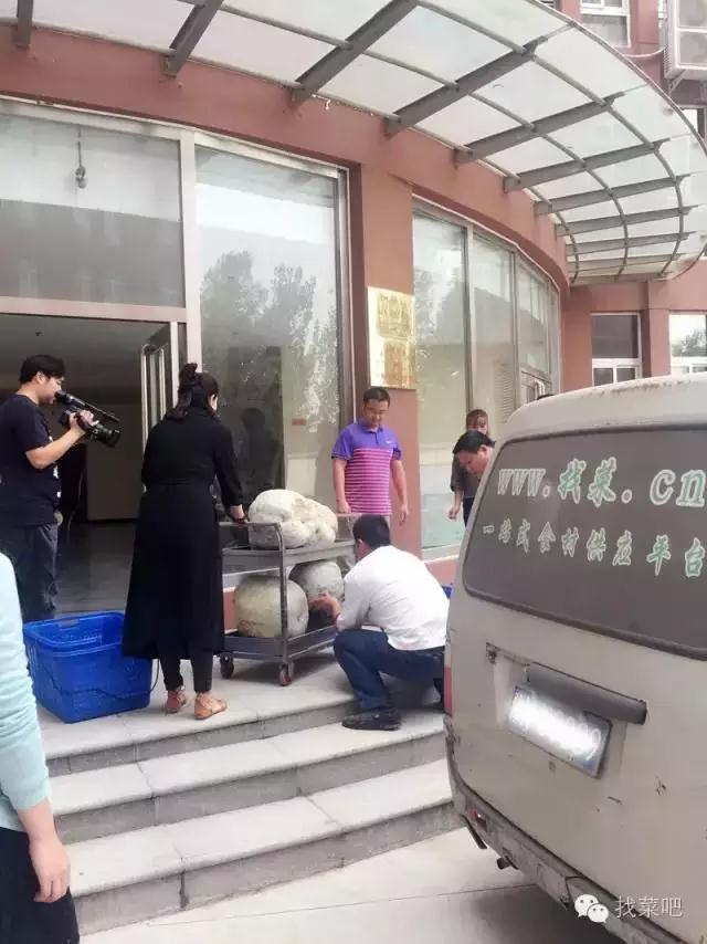 找菜網(wǎng)認(rèn)購(gòu)百萬(wàn)斤冬瓜，解農(nóng)戶燃眉之急