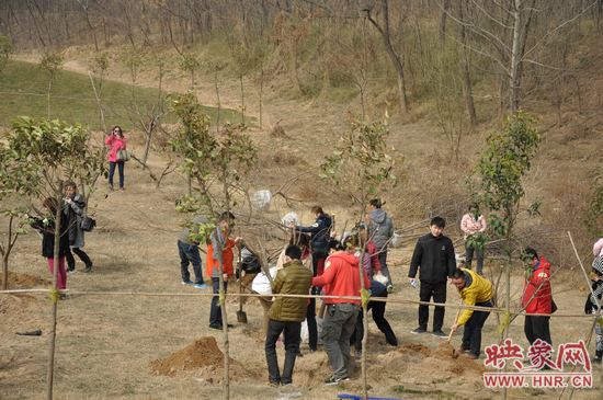 熱火朝天的植樹總動員 熱火朝天的植樹總動員