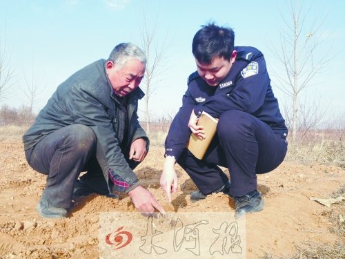 牡丹苗被盜之后，郭萬(wàn)通又補(bǔ)種的牡丹苗已經(jīng)發(fā)芽