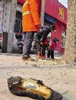 老漢右腿燒傷，樹下扔了一只燒焦的鞋