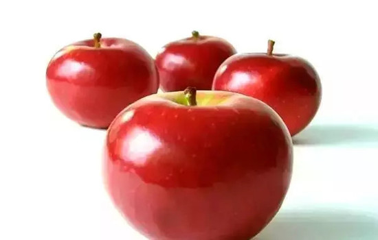 小心有毒！各種蔬果不能吃的部分