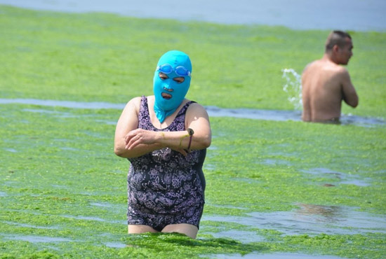 2013年7月3日，山東青島青島高溫來襲，“青島大媽”不懼滸苔，戴著“強盜面具”出現(xiàn)在海水浴場消暑降