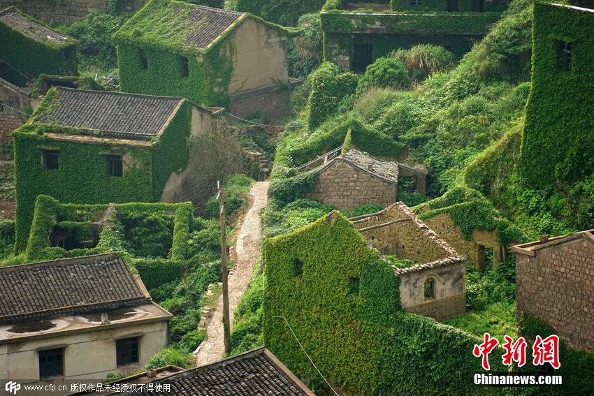 浙江舟山一荒廢海島宛如綠色童話(huà)世界