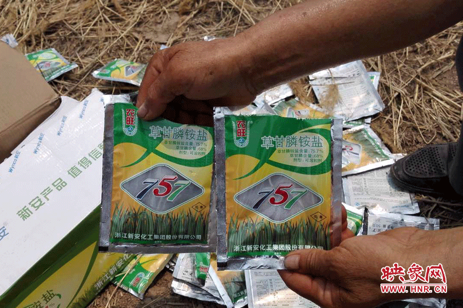 毀掉玉米的農(nóng)藥袋散落在地頭。