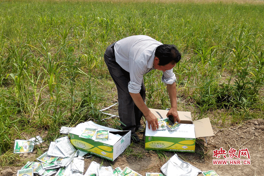村民察看摧毀玉米的農(nóng)藥。