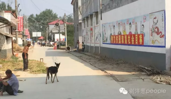 孫莊村一角。新京報(bào)記者安鐘汝 攝