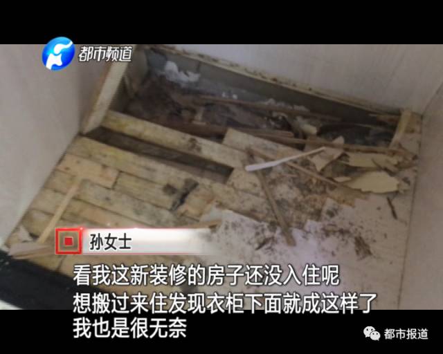 蟻?zhàn)宕筌娙肭?！十幾萬裝修的新家被“吃掉”