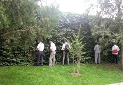 6月30日，頤和園內(nèi)綠地上，多名游客在小解。 網(wǎng)友“攝影老鬼” 攝