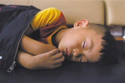 9月6日，等待錄制節(jié)目的多多躺在沙發(fā)上熟睡。新京報記者 侯少卿 攝