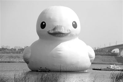 昨日，經(jīng)過連夜修正，大黃鴨的嘴部已恢復(fù)變寬，和在香港展出時(shí)看起來一樣。