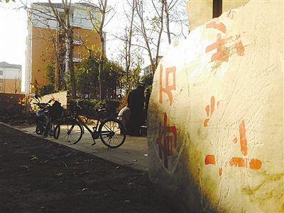 昨日，“上海奇石盆景博物館”原址上，已矗立起小區(qū)樓盤，而刻著博物館名的巨石，廢棄在一旁。本版圖片/新京報記者 張永生 攝