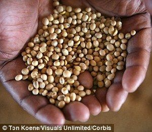 超強厄爾尼諾將引發(fā)全球極端天氣，中國北方或極端高溫-