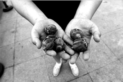 “大煙殼”輕易就可以買到。下圖：女?dāng)傊髂贸霾卦诩t色兜子里的“大煙殼”，向記者兜售。京華時報實習(xí)記者趙思衡攝