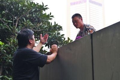 黃主任站在獨(dú)木樁上與男子交談了近半小時(shí)。