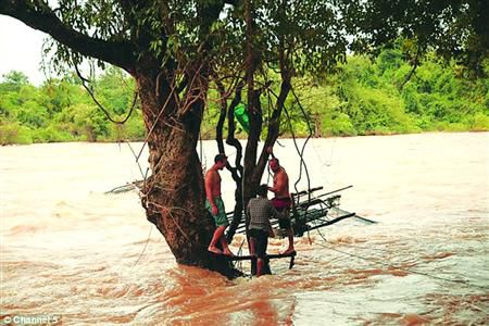 蓋屋、種菜，“從沒這樣快樂”