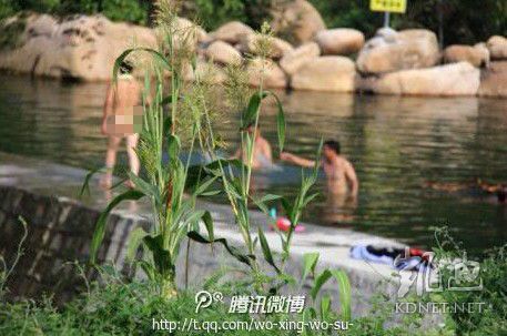 網(wǎng)友曝光的現(xiàn)場(chǎng)圖片。（圖片來自網(wǎng)絡(luò)）