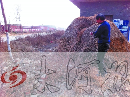 張哥、張弟就是在這兒撿到的投毒面包。