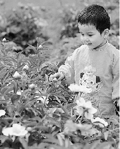 　春光里,鄭州處處皆美景。