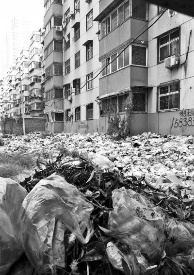 透過擋板縫向內看，30多米垃圾已經(jīng)將居民樓包圍。