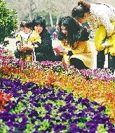 近距離才能拍得更真切。