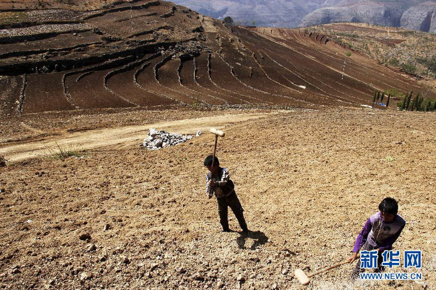 3月16日，在貴州省畢節(jié)市威寧縣斗古鄉(xiāng)中關(guān)村，兩個(gè)孩子幫助家人在干旱的土地上勞動(dòng)。