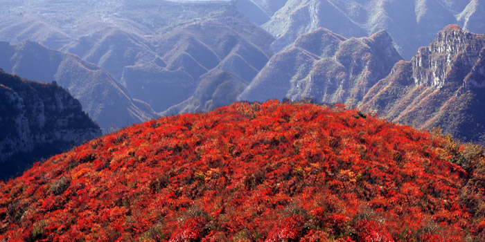 紅葉的海洋暢游多情青天河 紅葉的海洋暢游多情青天河