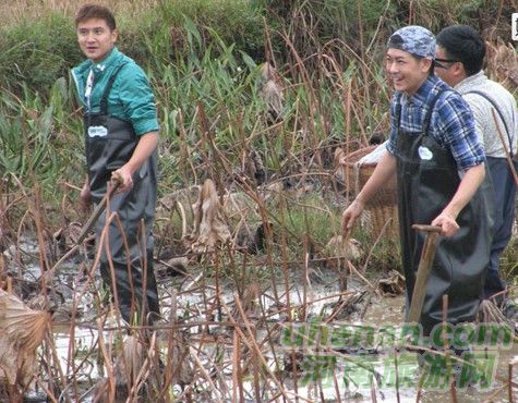 爸爸去哪兒？親密接觸荷花仙子