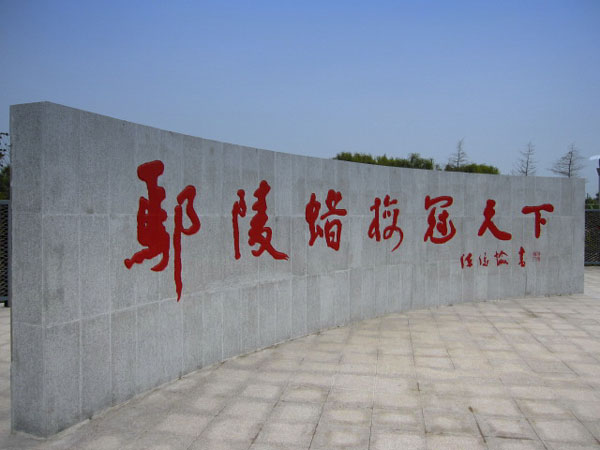 第三屆鄢陵臘梅文化節(jié)盛大開幕邀您來(lái)