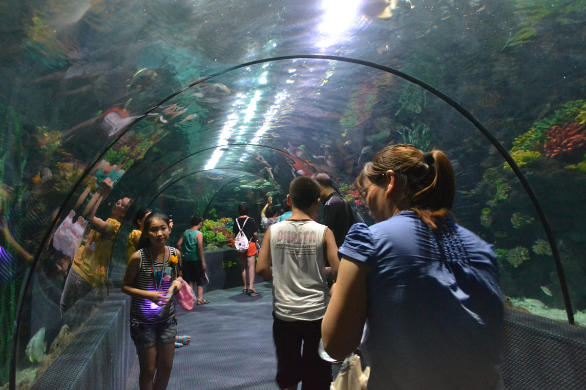 春節(jié)去哪兒？出游地圖告訴您！