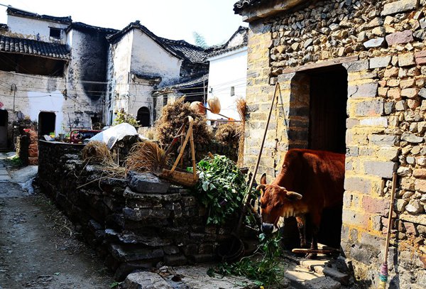 10大古村落，見證鶴壁舊時光