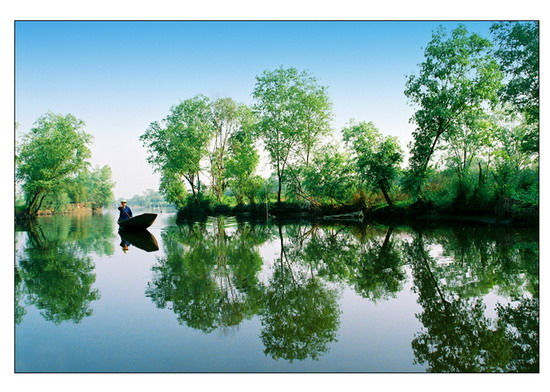 樂(lè)享綠色夏日 濕地公園生態(tài)親水之旅