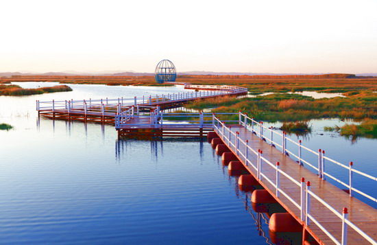 樂(lè)享綠色夏日 濕地公園生態(tài)親水之旅