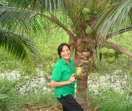 曼谷新式樹(shù)屋賓館 在未受侵染的凈土上入睡