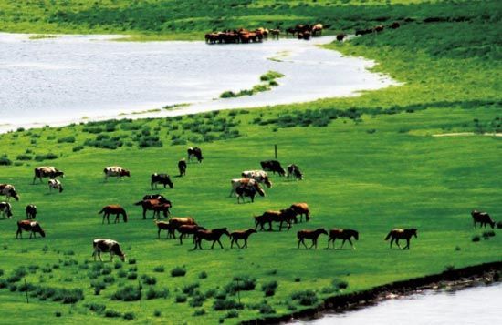 　　處處翠色欲流,馬兒自然入畫。　