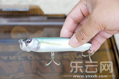 　　又稱擬餌釣魚,起源于歐洲,國內(nèi)翻譯為“路亞”。