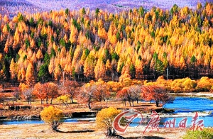 　　呼倫貝爾秋色。