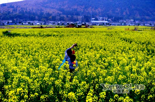 　　不論從人文氣息還是田園自然風光,都值得我們?？?。(圖片來源:CFP)