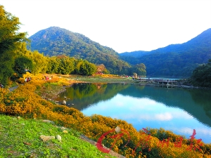 初冬的石門(mén)森林公園色彩絢爛。