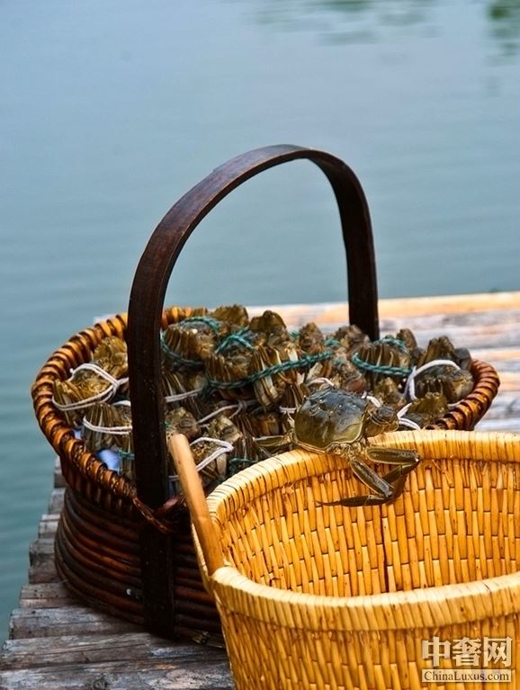 陽澄湖滋味“蟹”逅 費(fèi)爾蒙嘗盡時令大閘蟹