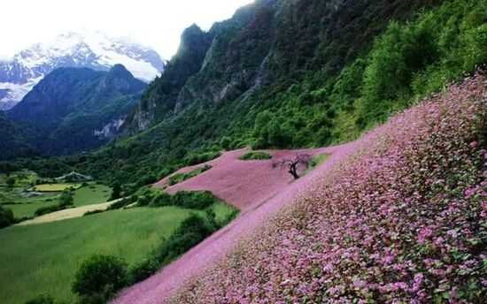 云南的另一個天堂 我約你一起去！