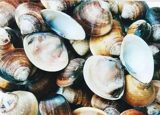 秋季最適合吃的海鮮是這10種 你吃對(duì)了嗎？