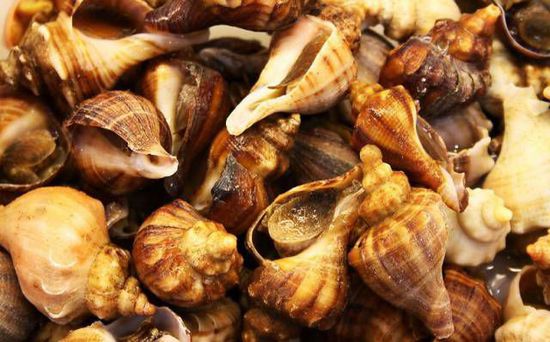 秋季最適合吃的海鮮是這10種 你吃對(duì)了嗎？