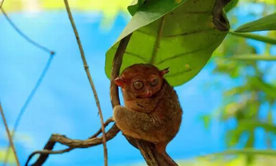 適合在冬天旅游的十個(gè)絕美海島！