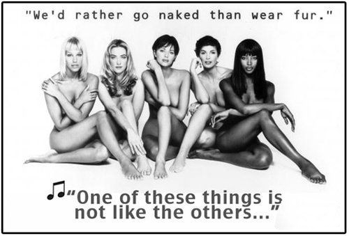 時尚圈第一組群?？棺h皮草大片