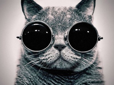 哪些星座總是不長心 哪些星座總是不長心